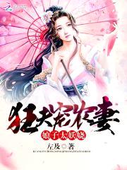 狂夫宠农妻:娘子,太妖娆