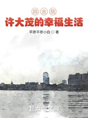 四合院许大茂的幸福生活