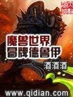 魔兽世界冒牌德鲁伊